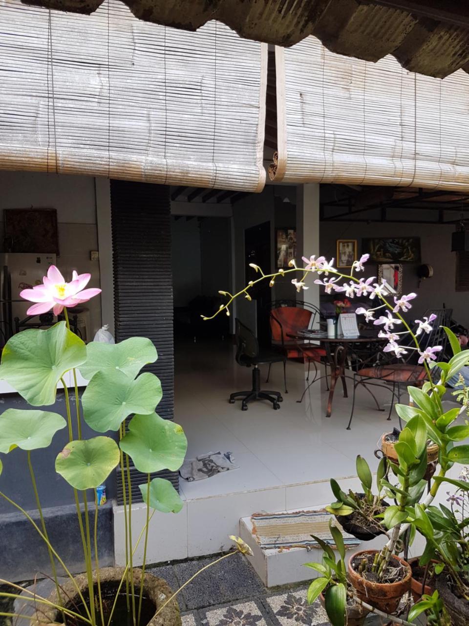 Mawar Homestay Canggu Exteriör bild