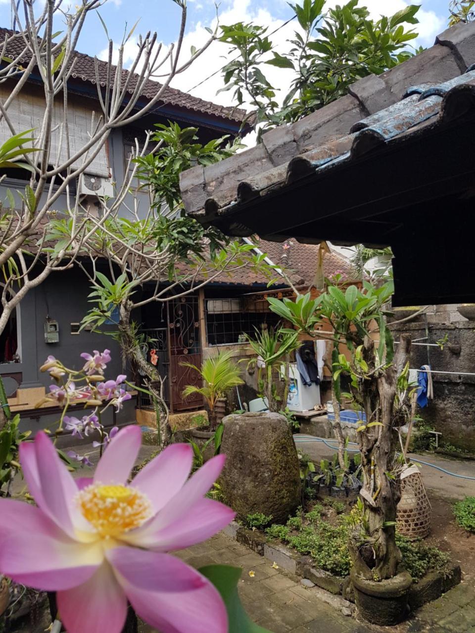 Mawar Homestay Canggu Exteriör bild